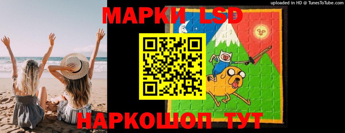 Майкоп  Лсд 25 экстази кислота  Лсд 25 экстази кислота  Вход с VPN 