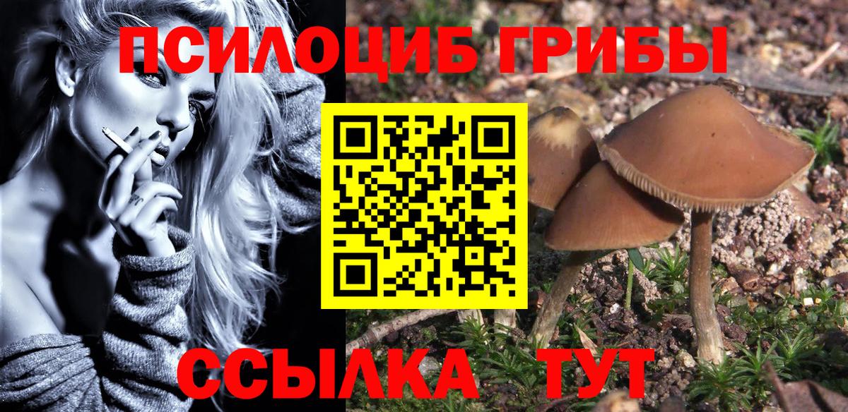 Галлюциногенные грибы MAGIC MUSHROOMS  Вход с VPN  Галлюциногенные грибы Psilocybe  Майкоп 