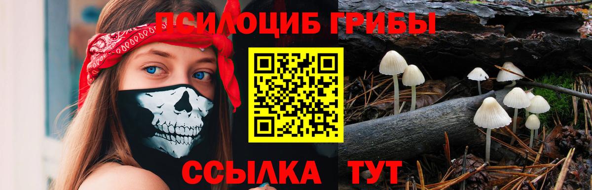 Галлюциногенные грибы MAGIC MUSHROOMS Майкоп